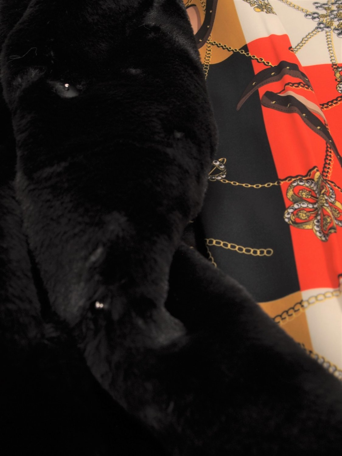 náhled Dámský kožíšek 9219/951500